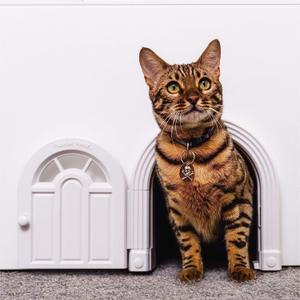 Purrfect Portal Meow Manor Cat Door Interior Door - No-Flap, Fits Cats Up to 20 lbs, Easy DIY Setup, No Training Needed (Paper White)