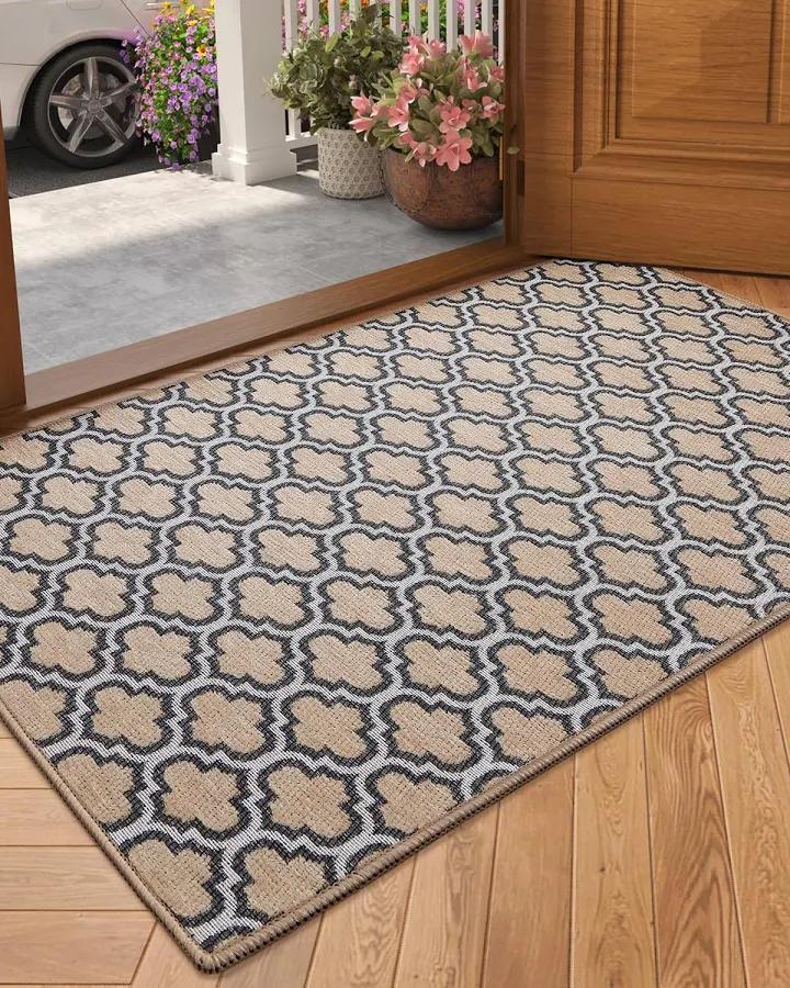 Color&Geometry Thin Indoor Entrance Mats for Home, 17"X29.5" Indoor Mats for Entryway Non Slip Rubber Backed, Dirt Trapper Door Rugs for Entryway Indoor Washable, Dark Khaki (Rolled-up NO Creases)