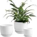 MyGift White Ceramic Pots for Plants, 6.7+5.3+3.9 inch Flower Planters, Succulent Pots Indoor with Drainage Holes and Tray, Set of 3