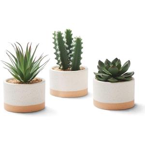 ASTRIDIA Artificial Succulent Plants in Ceramic Pots, Faux Assorted Succulents Plants for Home Decor, Bedroom, Office, Desk, Living Room, Set of 2