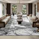 CRYPTOLITE Area Rugs 9x12 Rug for Living Room Abstract Washable Rug with Non-Slip Backing Low Pile Area Rugs for Bedroom, Dining Room, Silver&Grey