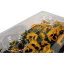 SUNPACK Sundome Plastic Multi-Vented Humidity Dome, Clear, 7" (Pack of 10) - Ideal for Greenhouses or Indoor Growing, Able to Adjust Humidity with Vents