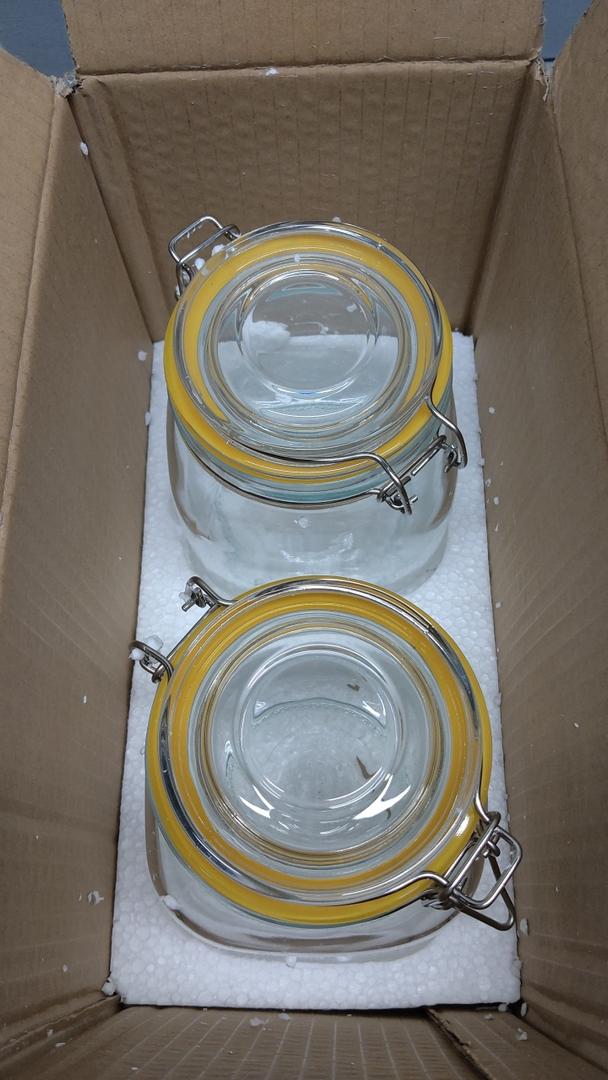 Galashield Glass Jars with Lids 16 oz Food Storage Jars with Airtight Lids Leak Proof Glass Canisters Kitchen Jars [Set of 2]