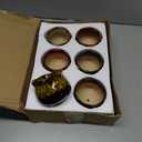 TOPZEA Set of 6 Succulent Plant Pots, 4 Inch Glazed Ceramic Cute Plant Pots with Drainage and Saucer, Mini Bonsai Planter Small Cactus Flower Pots for Indoor Outdoor Use