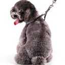 Rypet Small Dog Harness and Leash Set - No Pull Pet Harness with Soft Mesh Nylon Vest for Small Dogs and Cats Red L