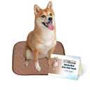 EZwhelp Reusable Dog Pee Pads - Waterproof Training Pads for Dogs, Washable & Sanitary, Rounded Corners, Laminated, Lightweight, and Durable,Pet Essentials for Puppy Training and Whelping - 17" x 20"
