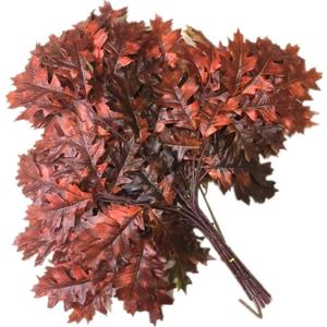 6pcs Artificial Oak Tree Leaf Stems Faux Oak Tree Branches Green Plant for Greenery Wall Floral Decoration (Dark red)