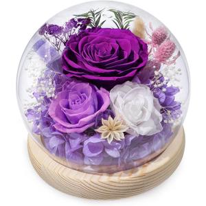 FIACO Gifts for Mom Mothers Day Women Birthday Preserved Flowers in Glass Dome Forever Fresh Flowers for Delivery Eternal Roses Gifts for Grandma Wife Daughter Friends