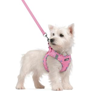 rabbitgoo Dog Harness Small Sized and Leash Set, Step in Soft Light Puppy Vest, Breathable Mesh Pet Harness, Reflective for Safe Easy Walking, Pink & Plaid Trim S