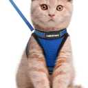rabbitgoo Cat Harness and Leash Set for Walking Escape Proof, Adjustable Soft Kittens Vest with Reflective Strip for Cats, Comfortable Outdoor Vest,Blue,L (Large)