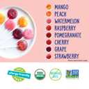 YumEarth Organic Pops Variety Pack, 60 Fruit Flavored Favorites Lollipops, Allergy Friendly, Gluten Free, Non-GMO, Vegan, No Artificial Dyes
