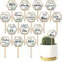 GOMAKERER 18Pcs Hexagonal Funny Plant Markers, Water Please Pray for Me Plant Labels Wood Greenery Garden Tags for Vegetable Flower Herb Succulent Seedling Potted, 2.5x4.7 Inch