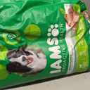 IAMS Proactive Health Adult Minichunks Premium Dry Dog Food, Adult Dog Food Dry Recipe, 30 lb. Bag (EXP 12/17/25)