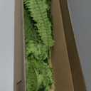 Fake Ferns - Set of 2 Faux Boston Ferns Large Artificial Plants, 40 Leaves per Bouquet, 35 Inches Large Artificial Ferns for Outdoors/Indoor Home, Office, Garden Decoration