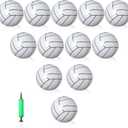 Leitee 12 Pack Inflatable Volleyball 16 Inch Inflatable Beach Volleyball with Pump for Summer Beach Hawaiian Tropical Theme Pool Party Sport for Adults Gift Outdoor Party Decorations Supplies