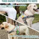 AUROTH Dog Harness No Pull Soft Padded Service Dog Vest, No Choke, Easy On Pet Vest with Handle, Adjustable Reflective Dog Harness for Small, Medium and Large Dogs, Easy Walking and Training