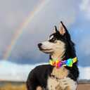 Rainbow Dog Collar, Rainbow Stripes Collar for LGBT Pride Month Holiday Dog Collar Girl or Boy Adjustable Collar for Small Medium Large Dogs (Small (Pack of 1), Rianbow)