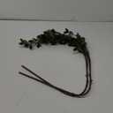 SzJias Faux Stems Artificial Branches for Vase Faux Branches Greenery Plant Stems for Vase Fake Tree Branches (3 Branches, 43.5inch/Branches)