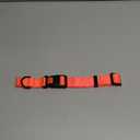 CollarDirect Reflective Dog Collar for a Small, Medium, Large Dog or Puppy with a Quick Release Buckle - Boy and Girl - Nylon Suitable for Swimming (14-18 Inch, Coral)