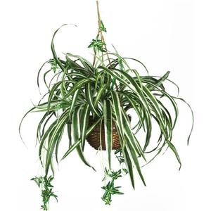 Nearly Natural 6607 Spider Hanging Basket Decorative Silk Plant, Green,10.25" x 10.25" x 17.5"