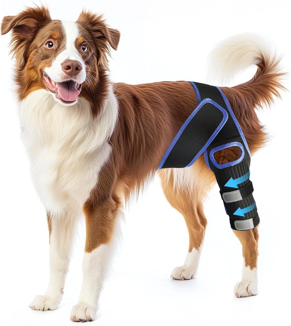 RUXAN Dog Knee Brace, Dog Leg Braces for Back Leg for Support, ACL Hind Leg Cruciate Ligament Knee Brace for Dogs Rear Leg with Torn ACL Keep The Joint Pain and Muscle Sore-M