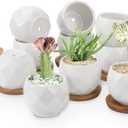 ZOUTOG Succulent Plant Pot 12 Pack, 2.5 inch Square Pattern Ceramic Planters with Bamboo Tray, Small Succulent Pots Indoor, White Office Desk Decor (Seeds Plants Not Included)