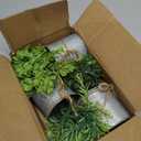 Mkono Small Fake Plants in Farmhouse Galvanized Metal Pots 3 Pack Potted Artificial Plant Eucalyptus for Laundry Room Bathroom Shelf Table Decor (Grey)