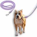 Silicon Hands Free Dog Leash Dual Wearable Handle Leashes Waterproof Medium Large Huge Dogs (18 lbs) Training Walking Running Durable (Baby Purple)