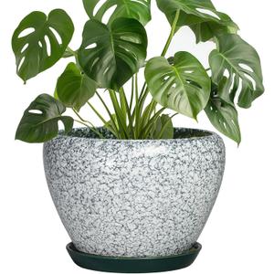 Ceramic Flower Pots, 8 Inch Pots for Plants Indoor, Crackle Green | Round Plant Pot Indoor with Drainage Hole and Saucer, Modern Decorative Planter, Bedroom Decor, Gardening Gifts
