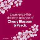 Clorox Scentiva Bathroom Toilet Cleaning Gel, Cherry Blossom and Peach, 24 Fluid Ounces