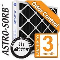 20 in. x 25 in. x 4 in. 213 MERV 13 Pleated Filter for Air Purifier Models 1210, 1620, 2210, 2216, 3210, 4200 (1-Pack) 