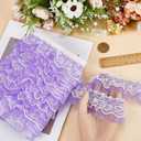 GORGECRAFT 11 Yards 2-Layer Pleated Chiffon Lace Ribbon Purple Gathered Voile Mesh Organza Tulle Fabric Ruffles Edge Lace Trim for Sewing Craft Wedding Dress Party Accessories Decor Handmade DIY