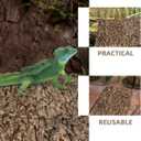 Kisangel Reptile Terrarium Bark Decor Natural Tree Bark Background 11.8 Inch Reusable Terrarium Accessory for Gecko Lizard Spider Enclosures