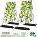 DoCred Cucumber Trellis, 2 Pack Metal Foldable A Frame Garden Trellis for Raised Bed Climbing Plants, Vegetables, Includes Plant Support Clips, Twist Ties, Plastic Ties, A Frame Trellis, Black