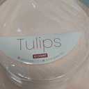 Tulip Organic Pink/White Combo Plates, 7.5 & 10 Inch, Case of 128 (4 packs x 32)