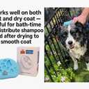 4 x Dog/Cat Curry Brush for Grooming - Tubby Potato - Removable Screen, Grooming Massage Bath Brush, Soft Shampoo Scrubber, Washing Scrub Comb with Silicone Bristles for Short & Long Hair Pets