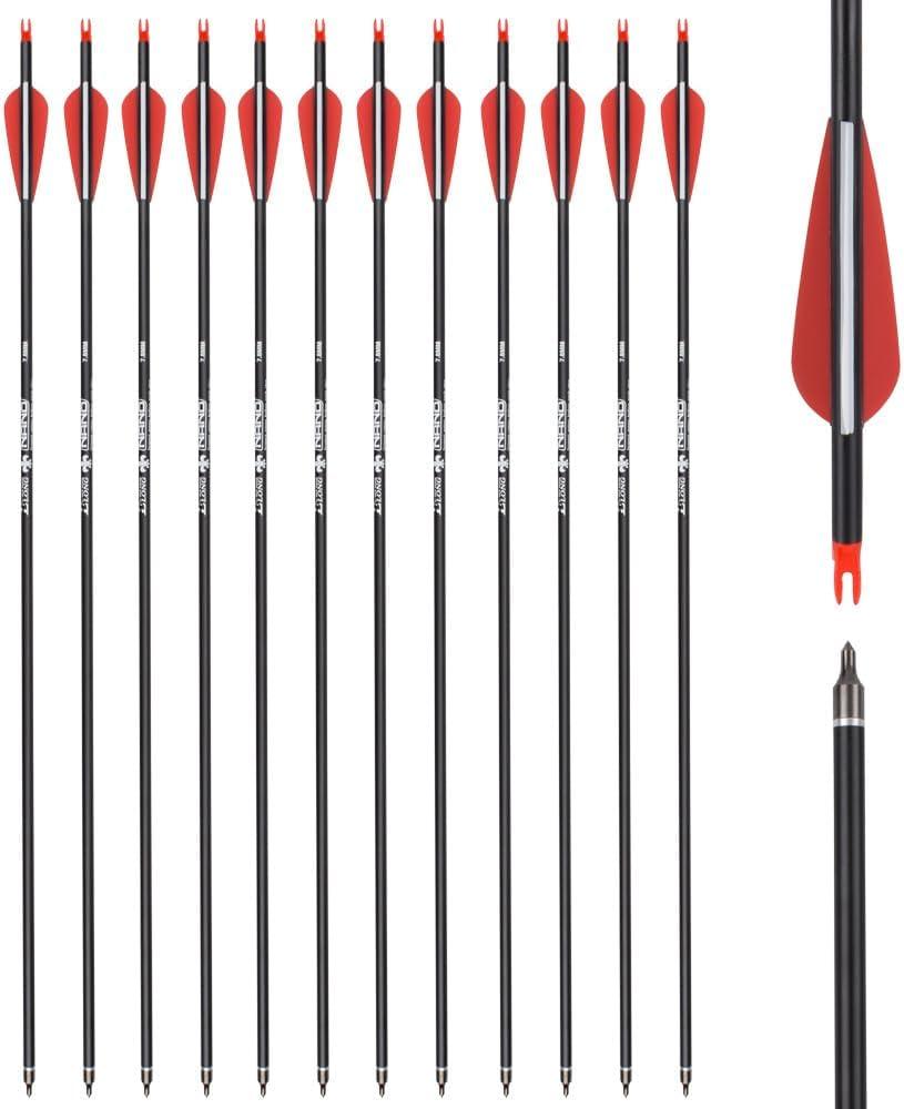 Carbon Arrow Hunting Arrows with 100 Grain Removable Tips for Archery Compound & Recurve & Traditional Bow Practice Shooting (Pack of 12) (28 inch)