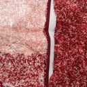 OLANLY Bathroom Rugs Sets 3 Piece, Soft Absorbent Microfiber Bath Mats and U-Shaped Contour Toilet Rug, Plush Shaggy Bath Mat Set for Bathroom (30"x20"+24"x16"+24"x20", Red)