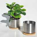 304 Mini Accent Planter (2 Pack) - Pots for Succulents, Cactus, and Small Plants - 3.25 inch diameter Includes bottom watering and saucer. Indoor or Outdoor. Corrosion Resistant.