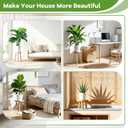 5-Pack Wood Plant Stands Indoor, Single Plant Stand for 6-22 Inch Pots, Mid-Century Modern Plant Stool, Tall Plant Stand for Large Plants Perfect Fit for Living Room, Balcony, Office (Light Brown)