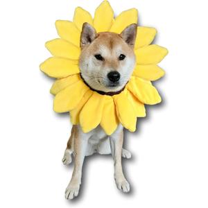 ComfyCamper Sunflower Dog Costume for Small Medium Large Dog Puppy Puppies Cat Kitten  Cute Head Flower Headband Outfits  Collar Cone Costume Hat Sombrero Outfit Pet Cosplay Halloween (Small)