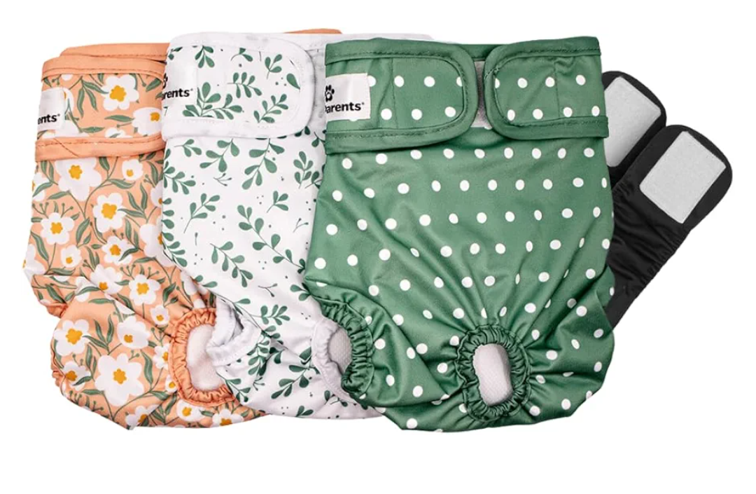 Pet Parents® Washable Dog Diapers (3pack) + Extendrs® of Durable Doggie Diapers, Premium Dog Diapers Female (Large, Daisy)