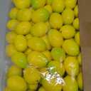 Amyhill 100 Pcs Mini Artificial Lemon Fake Fruit Faux Artificial Simulation Lemon Summer Realistic Kitchen Fruit Decor Lifelike Decoration for Home Kitchen Table, 1. 2 x 1. 8 Inch