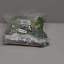 RECUTMS Artificial Hanging Willow Leaves Vine Twigs 2PC, Fake Silk Weeping Willows Leaf Plant Faux Italian Ruscus Greenery Indoor Outdoor Home Garden Wedding Arch Jungle Birthday Party Spring Decor