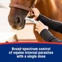 Farnam IverCare (ivermectin Paste) 1.87% for Horses, Anthelmintic and Boticide, 0.21 Ounces, Horse Dewormer, Ivermectin Apple-Flavored Paste, Up to 1,250 lbs