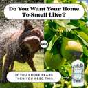 Pet-Pourri Pawsitively Fresh Pet Odor Deodorizer Candle, Burns Up to 45 Hours, Aromatherapy & Air Freshener with Essential Oils, Plant Based Ingredients & Wax, Vet Approved, Jasmine Pear Scent