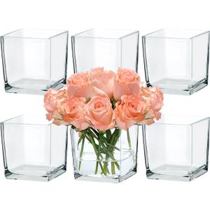 CONNOO 6 Pack Square Glass Vase 5" x 5" x 5", Clear Bulk Flower Vases for Centerpieces, Square Glass Cube Vase Floating Candle Holders for Wedding Party Home Decor