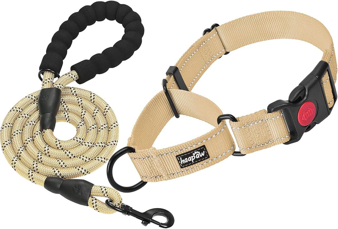 haapaw Martingale Dog Collar with Quick Release Buckle Reflective Dog Training Collars for Medium Dogs (Beige)