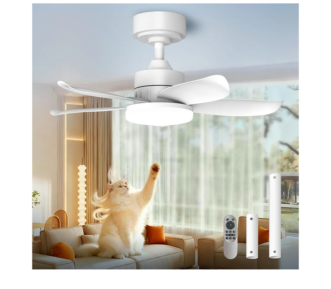 25 Inch White Ceiling Fan with Light and Remote, Modern Ceiling Fan, 6 Speed, Reversible, 3000k-6500k Dimmable LED, Quiet DC Motor for Indoor Outdoor