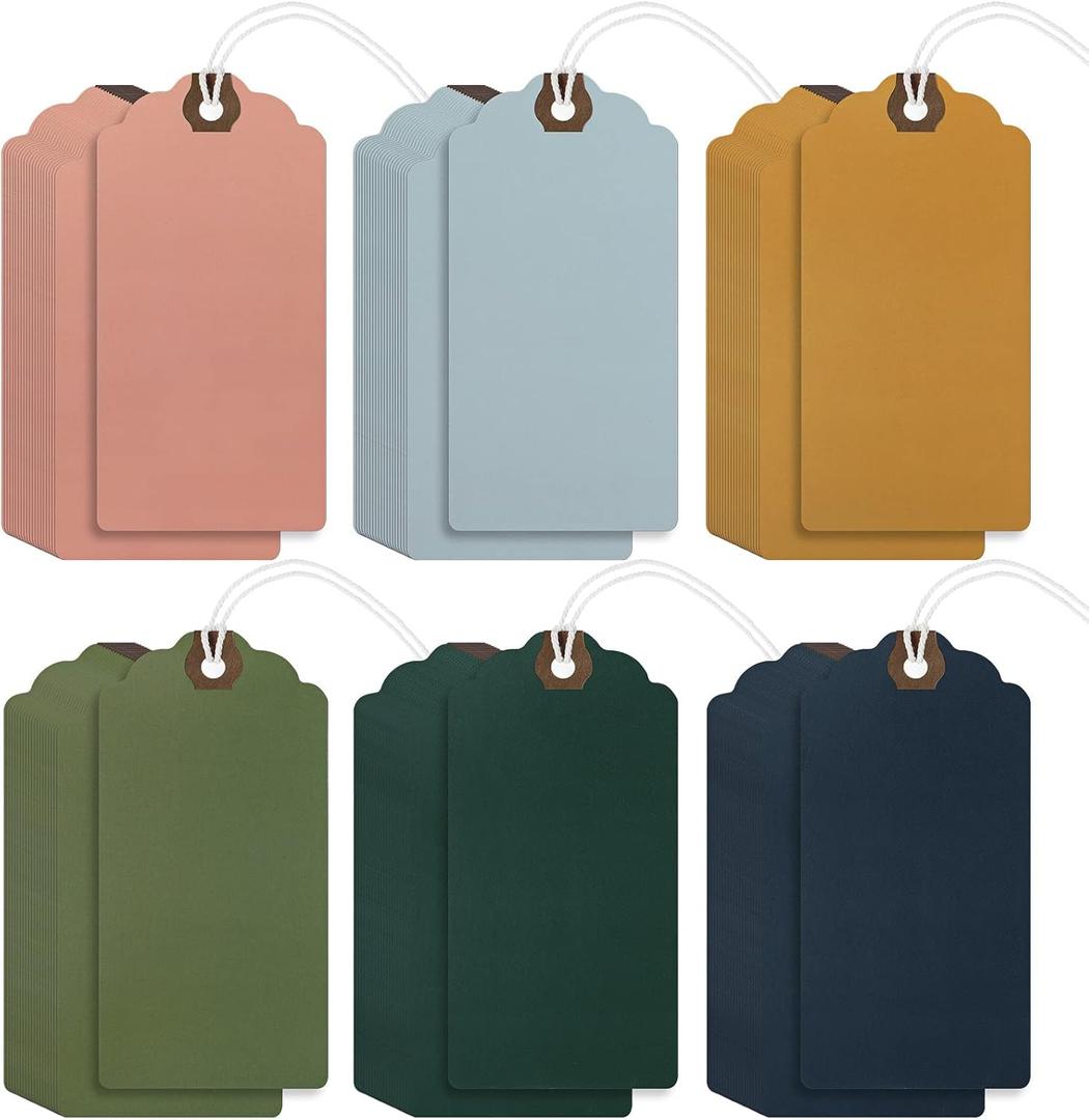 Outus 60 Pcs 4 3/4-in x 2 3/8-in Blank Large Paper Gift Tags with String and Reinforced Eyelet Wire Writable Price Tags Shipping Labels Inventory Labels(Morandi Color)